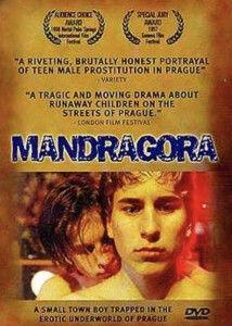 布拉格男妓,揭开欧洲古城的隐秘生活面纱